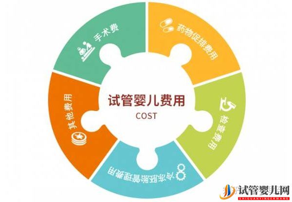 美國第三代試管嬰兒費用是多少,成功率多高(圖1)