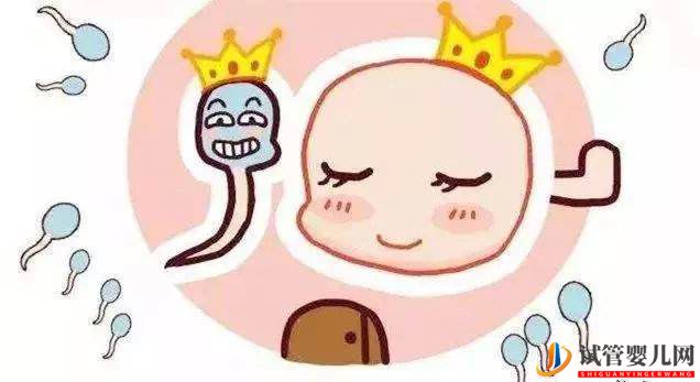 大齡備孕如何提高卵子質(zhì)量呢? 大齡備孕如何提高卵子質(zhì)量呢(圖1)