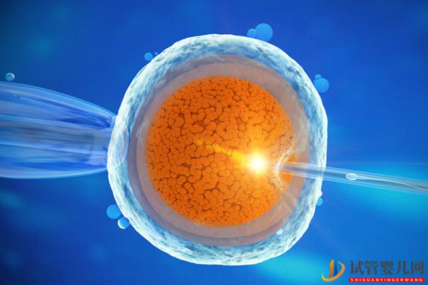 在什么情況下選擇美國試管嬰兒，成功率更有保障？(圖1)