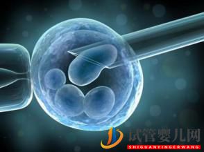 我的美國試管嬰兒經(jīng)驗，希望大家少走彎路(圖1)