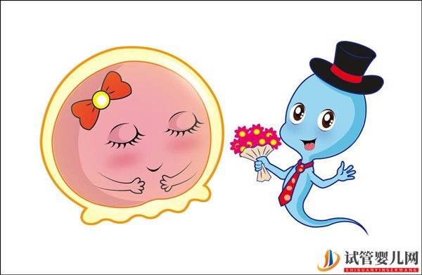 告訴您做試管嬰兒怎么獲得好卵子呢？(圖1)