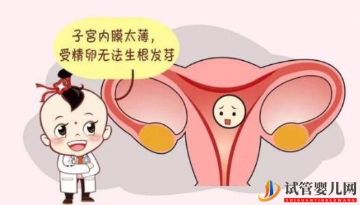 女性子宮內(nèi)膜薄可以做試管嬰兒嗎？(圖1)