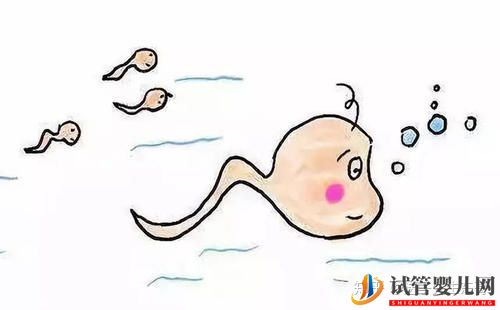 女方正常老公不育,這種情況要怎么做試管嬰兒(圖1)