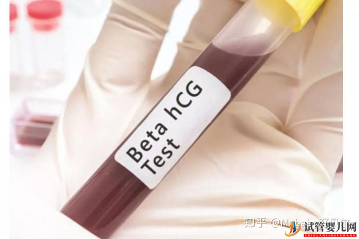 移植后的14天,胚胎發生了這樣的變化!(圖4)