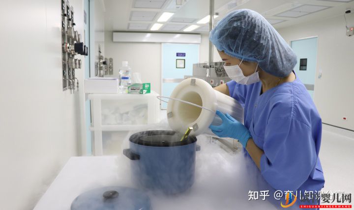 試管嬰兒全部步驟要花多少錢(圖1)