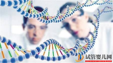三代試管可以解決那些遺傳病(圖3)