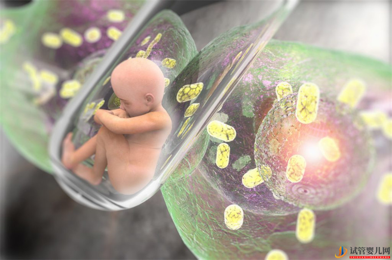 三代試管嬰兒成功率是多少(圖2) 都勻三代試管嬰兒成功率是多少(圖1)