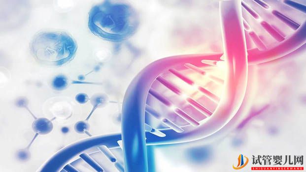 三代試管嬰兒技術可以避免高度近視遺傳嗎？(圖2)
