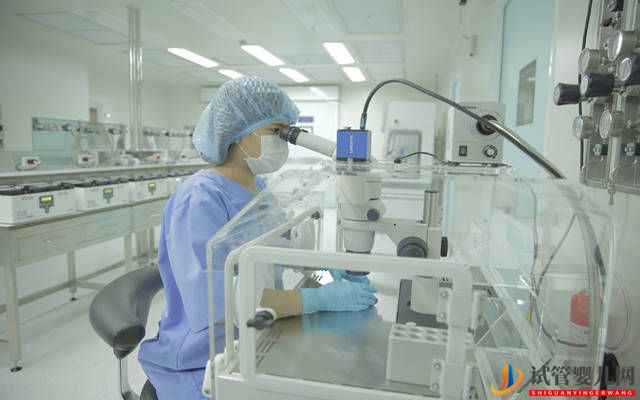 都勻三代試管嬰兒技術怎么樣？看完你就懂了(圖2)