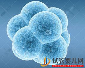 都勻三代試管嬰兒技術篩選性別(圖1)