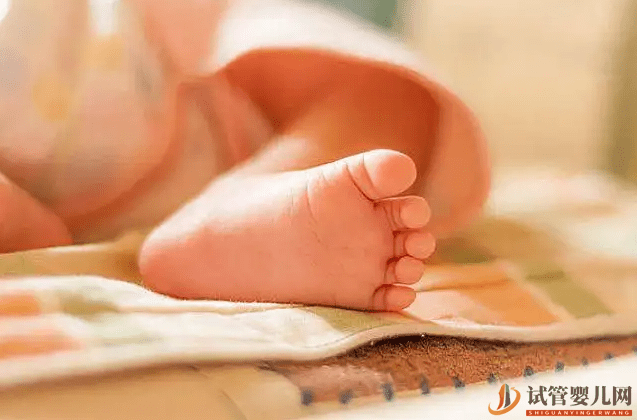 三代試管比二代成功-率高嗎?(圖1) 三代試管比二代成功率高嗎?(圖1)