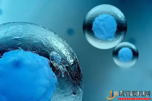 三代試管私立醫院有哪些比較靠譜的(圖1)