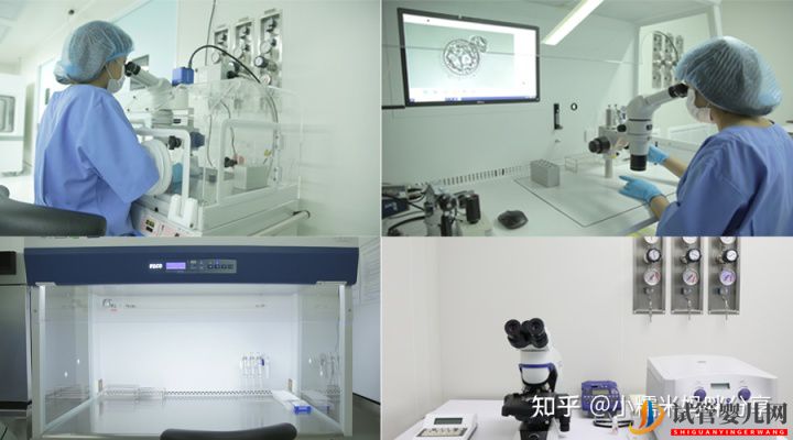 做一次試管嬰兒多少錢(圖1)