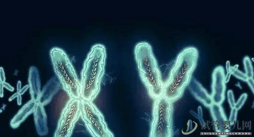 MDS有染色體異常是不是很難治？(圖1)