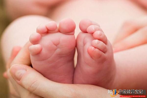 第三代試管的流程及時(shí)間(圖3) 第三代試管的流程及時(shí)間(圖2)