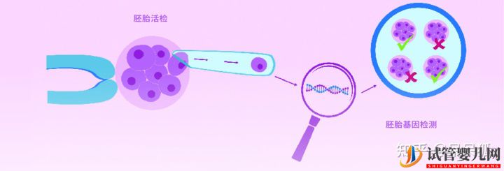 第三代試管可以篩選哪些遺傳病,第三代試管能避免遺(圖5) 第三代試管可以篩選哪些遺傳病,第三代試管能避免遺(圖3)