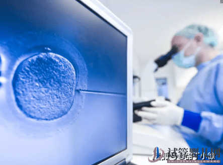 第三代試管成功率和哪些因素有關(圖1)