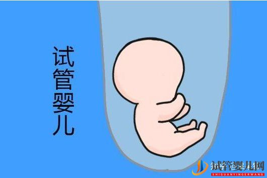 第三代試管嬰兒的流程及費用標準怎么樣(圖2) 第三代試管嬰兒的流程及費用標準怎么樣(圖2)