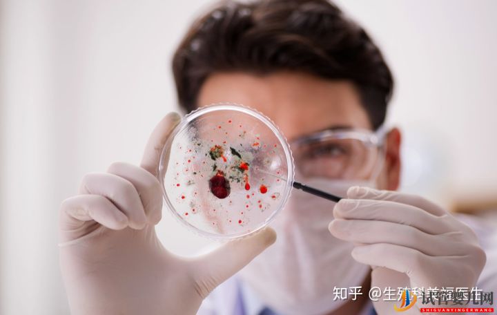 試管嬰兒成功率的高低,這4點(diǎn)很關(guān)鍵(圖6)