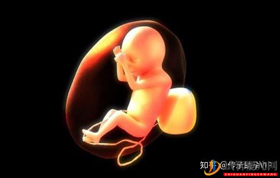 試管嬰兒的具體步驟、過程詳解(圖4)