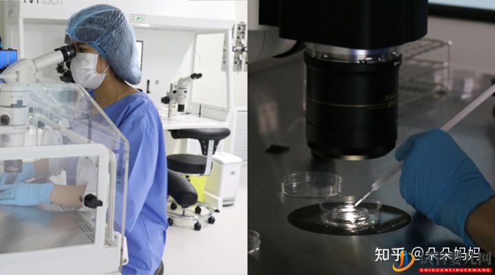 第三代試管嬰兒一次成功率大嗎(圖1)