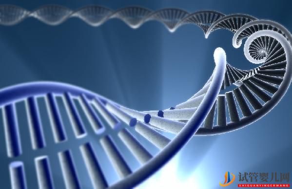 第三代試管嬰兒與PGD_PGS基因篩查技術(圖1)