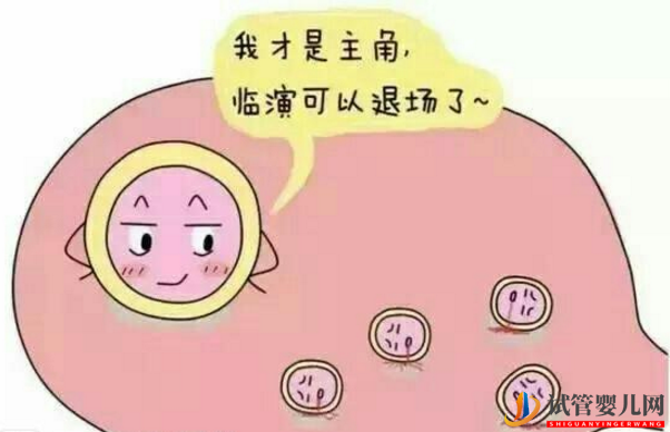 第三代試管嬰兒中什么樣的卵泡稱為好卵泡(圖1) 第三代試管嬰兒中什么樣的卵泡稱為好卵泡(圖1)