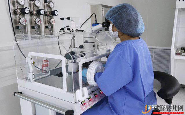 第三代試管嬰兒流程咋樣,需要耗時多久(圖3) 第三代試管嬰兒流程咋樣,需要耗時多久(圖3)