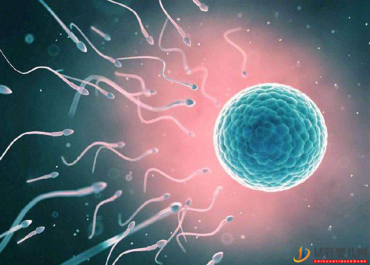 第三代試管嬰兒能避免哪些遺傳病？(圖1)