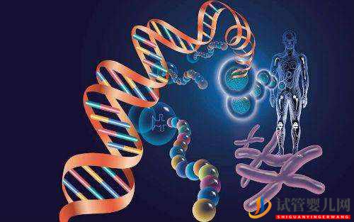 夫妻染色體正常，為什么胚胎還會出現染色體異常？(圖1)