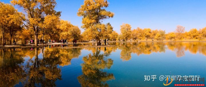 甘肅試管嬰兒醫院排名,費用、成功率介紹,很詳細(圖7)