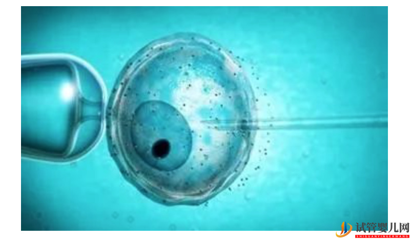 高齡不孕女性可以做試管嬰兒嗎(圖1)