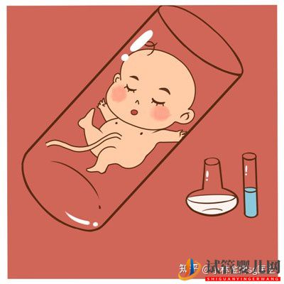 國內第三代試管嬰兒多少錢_國內私人試管機構(圖2)