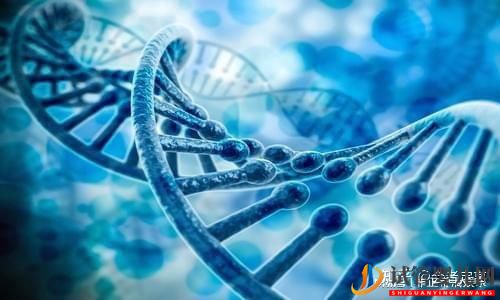 國內助孕公司可以選性別包成功嗎_試管助孕具體費用(圖2)