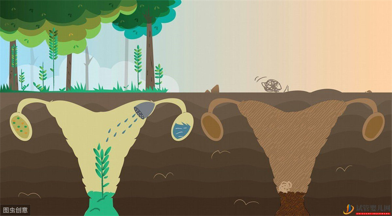 海參崴試管嬰兒一次成功的經(jīng)歷，簡單分享一下自己的一些心得(圖1)