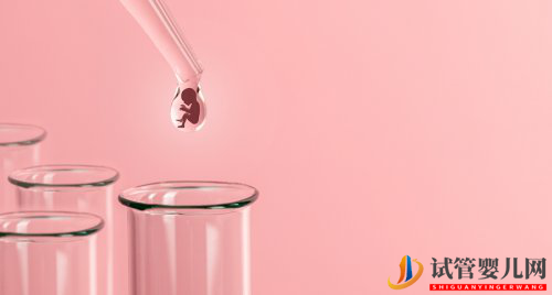 試管嬰兒網(wǎng):基礎(chǔ)卵泡會影響試管的成功率嗎_(圖2) 基礎(chǔ)卵泡會影響試管的成功率嗎(圖1)