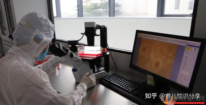 試管嬰兒網(wǎng):解析國內(nèi)做試管第三代大概需要多少錢(圖1) 解析國內(nèi)做試管第三代大概需要多少錢(圖1)