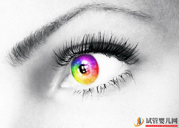 什么？還有“傳男不傳女”的遺傳病？(圖1)