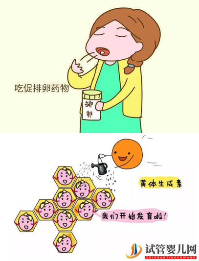 做試管嬰兒痛苦嗎？(圖1)