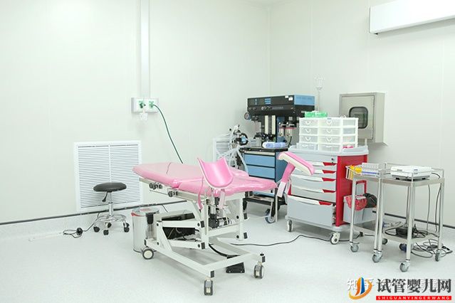 同性戀可以做泰國試管嬰兒嗎(圖3)