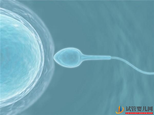 這些遺傳疾病能通過泰國第三代試管嬰兒技術篩查呢(圖2)