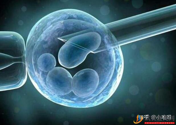 哪些情況下不能夠做試管嬰兒(圖1)