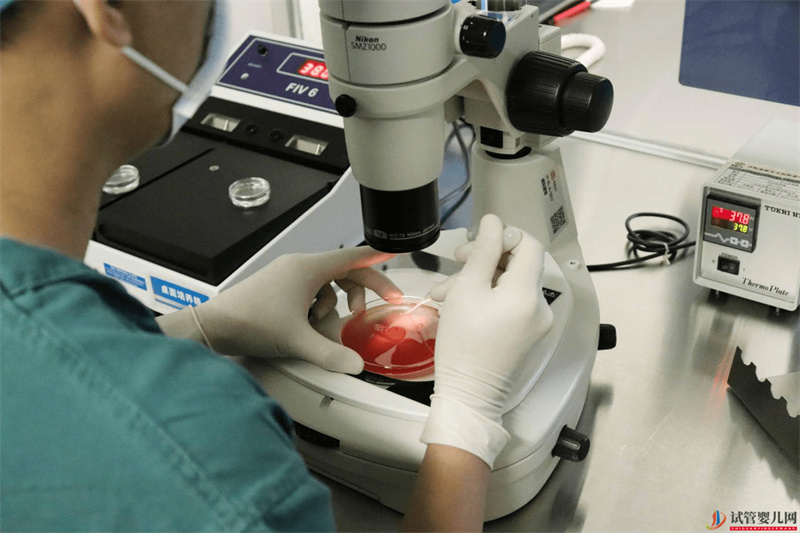 做試管嬰兒為什么要先做三次人工授精，而不是“一步到位”(圖1)