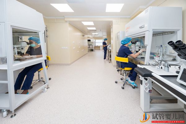 哈薩克斯坦IRM醫(yī)院 新院區(qū)(圖13) 哈薩克斯坦IRM醫(yī)院 新院區(qū)(圖13)