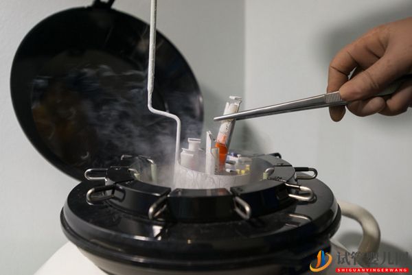 哈薩克斯坦IRM醫(yī)院 新院區(qū)(圖15) 哈薩克斯坦IRM醫(yī)院 新院區(qū)(圖15)