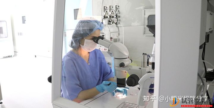 在廣州去做試管成功率高的醫(yī)院排名(圖2)