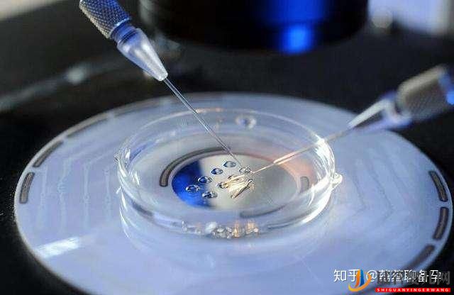 試管嬰兒網(wǎng):24歲的我卵巢功能下降,懷孕路上困難重重,幸而試管(圖4) 24歲的我卵巢功能下降,懷孕路上困難重重,幸而試管(圖2)