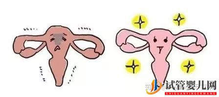 42歲試管晚不晚,高齡試管媽媽告訴你這個問題的答案(圖2)