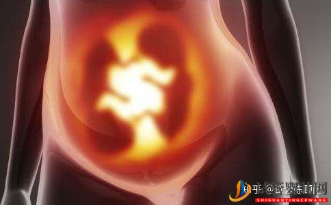 43歲做試管嬰兒成功率有多高(圖1)