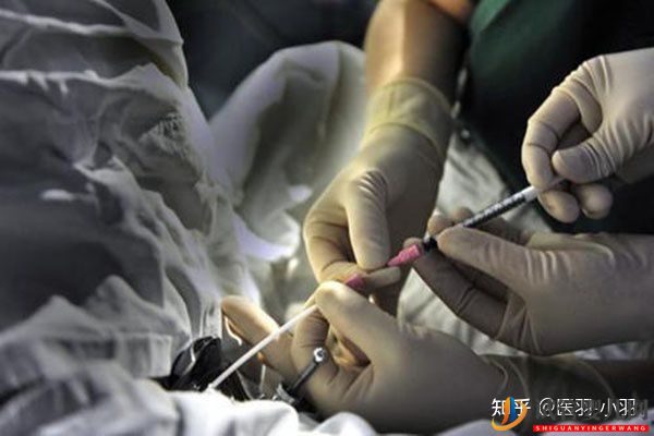 試管嬰兒網(wǎng):40歲以后做試管嬰兒成功率有多少(圖6) 40歲以后做試管嬰兒成功率有多少(圖3)